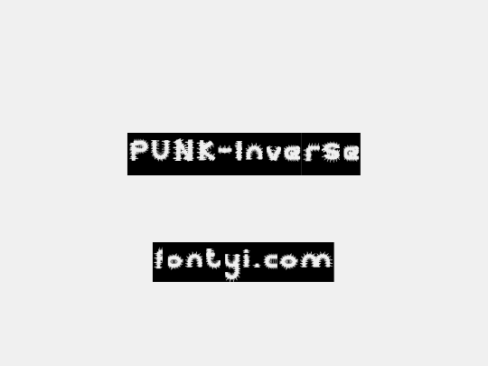 PUNK-Inverse