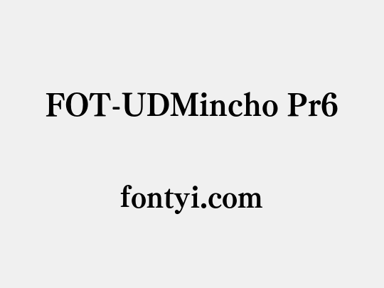 FOT-UDMincho Pr6