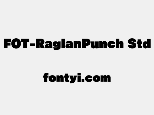 FOT-RaglanPunch Std
