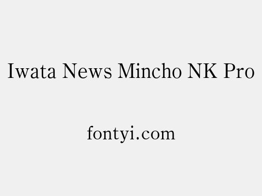 Iwata News Mincho NK Pro