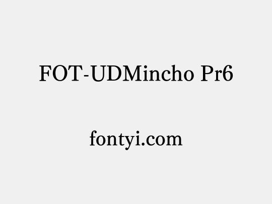 FOT-UDMincho Pr6