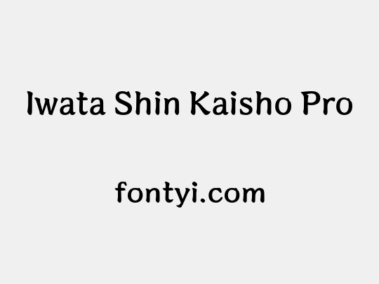 Iwata Shin Kaisho Pro