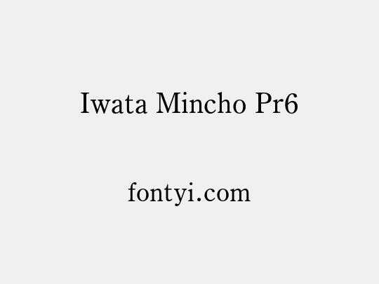 Iwata Mincho Pr6