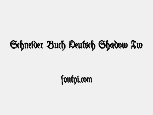 Schneider Buch Deutsch Shadow Two