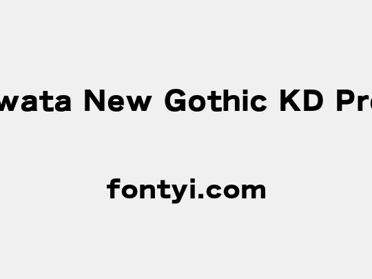 Iwata New Gothic KD Pro