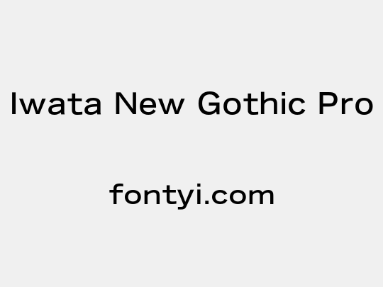 Iwata New Gothic Pro