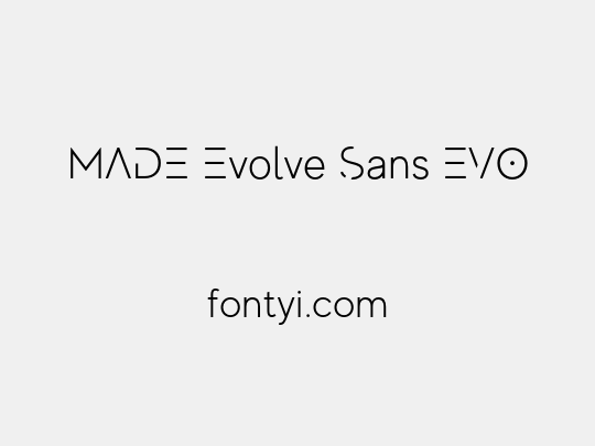 MADE Evolve Sans EVO
