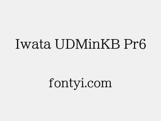 Iwata UDMinKB Pr6