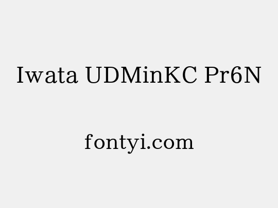 Iwata UDMinKC Pr6N