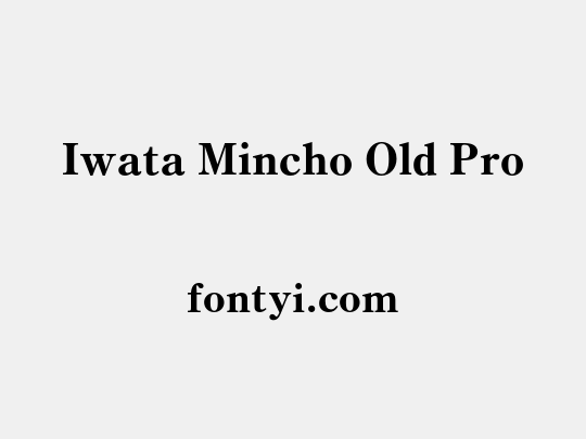 Iwata Mincho Old Pro