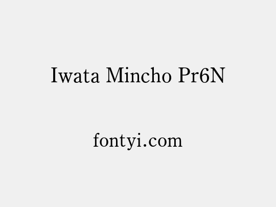 Iwata Mincho Pr6N