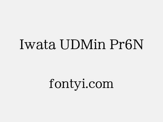 Iwata UDMin Pr6N