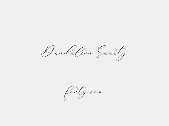 Dandelion Sweety