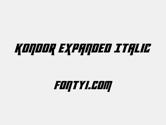 Kondor Expanded Italic