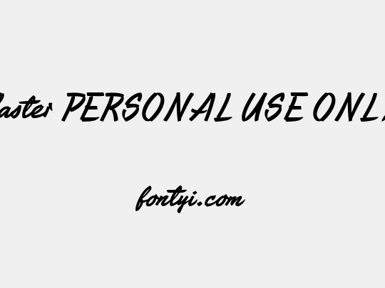 Caster PERSONAL USE ONLY