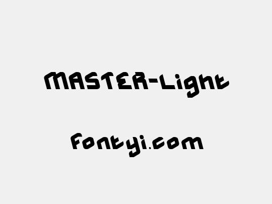 MASTER-Light