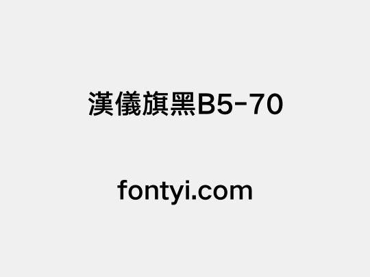 漢儀旗黑B5-70