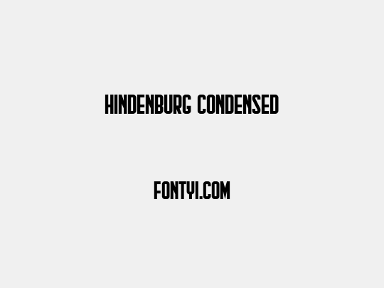 Hindenburg Condensed
