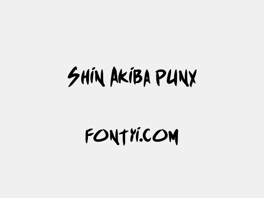 Shin Akiba punx