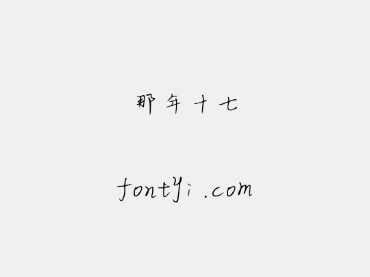 那年十七