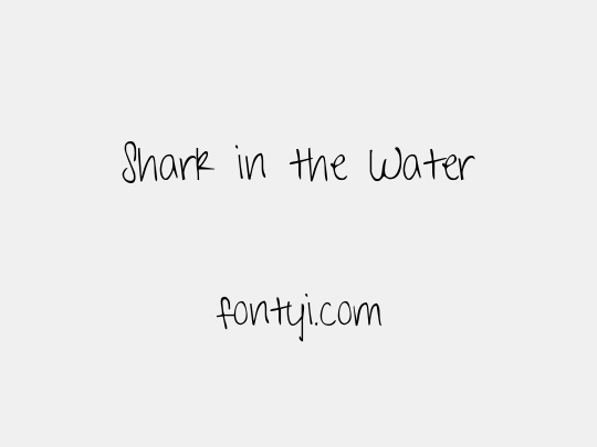 Shark in the Water