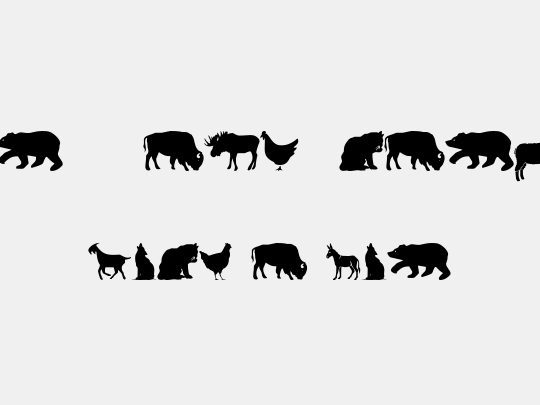 Farm & Wild Animals