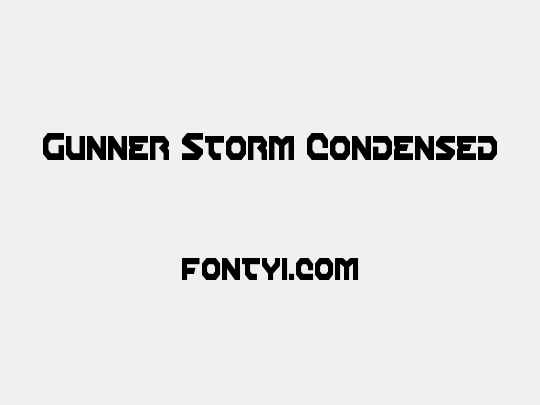 Gunner Storm Condensed