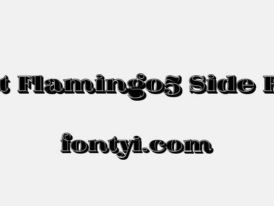 Fat Flamingo5 Side Fill
