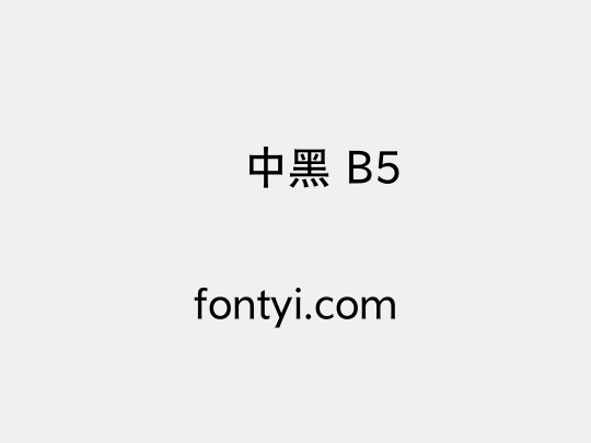 汉仪中黑 B5
