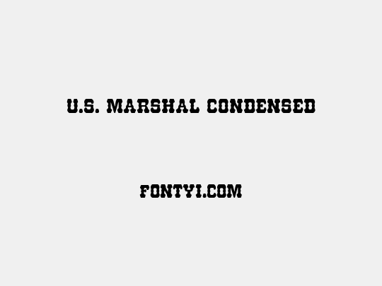 U.S. Marshal Condensed