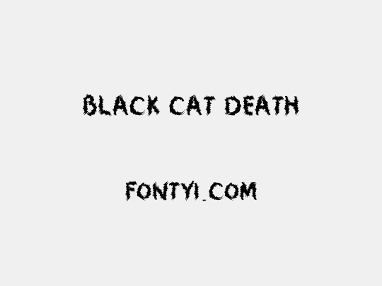 Black Cat Death