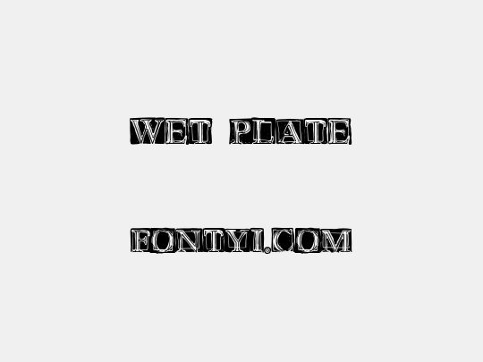 Wet Plate