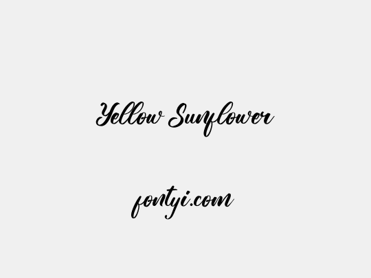 Yellow Sunflower