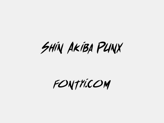 Shin Akiba Punx