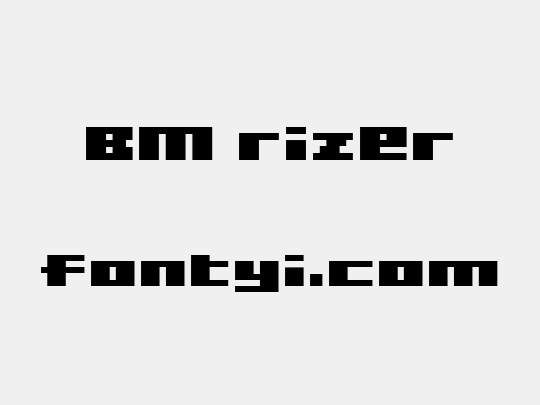 BM rizer