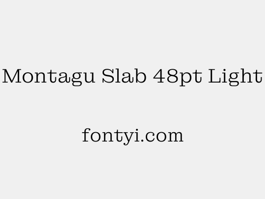 Montagu Slab 48pt Light