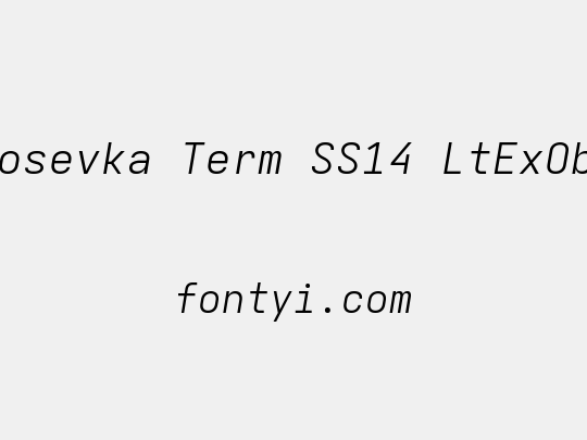 Iosevka Term SS14 LtExObl