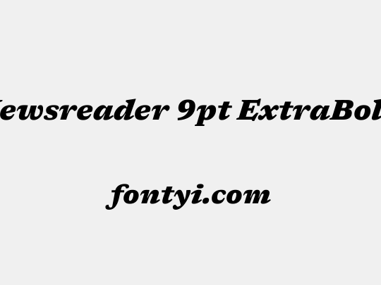Newsreader 9pt ExtraBold