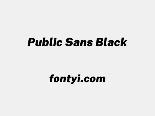 Public Sans Black