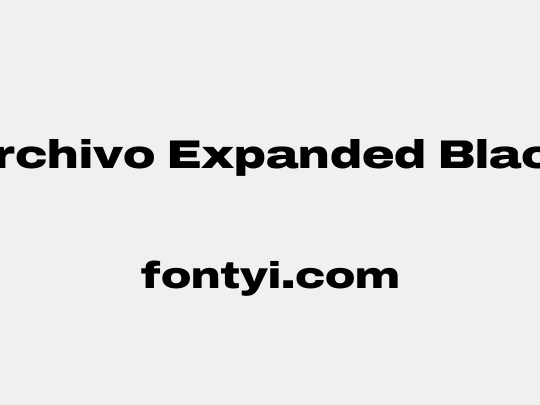 Archivo Expanded Black