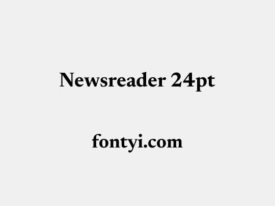 Newsreader 24pt