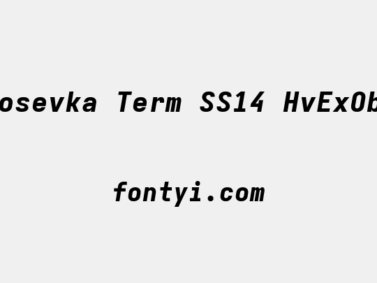Iosevka Term SS14 HvExObl