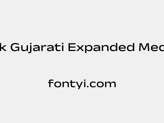 Anek Gujarati Expanded Medium