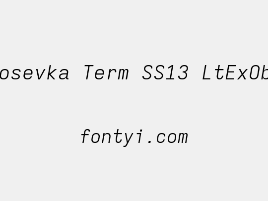 Iosevka Term SS13 LtExObl
