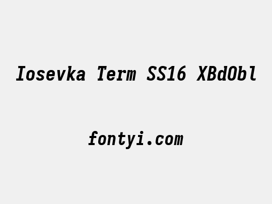 Iosevka Term SS16 XBdObl