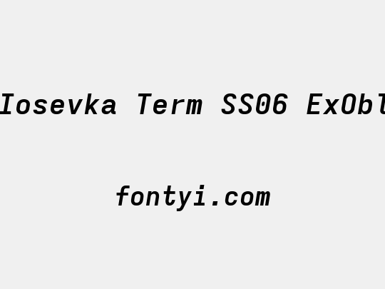 Iosevka Term SS06 ExObl