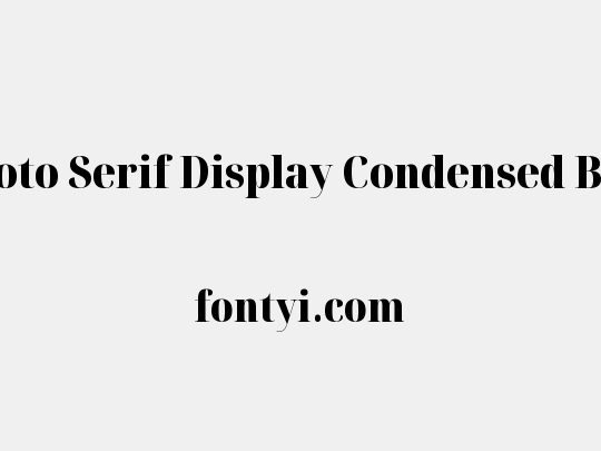 Noto Serif Display Condensed Black
