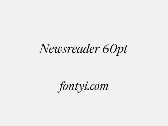 Newsreader 60pt