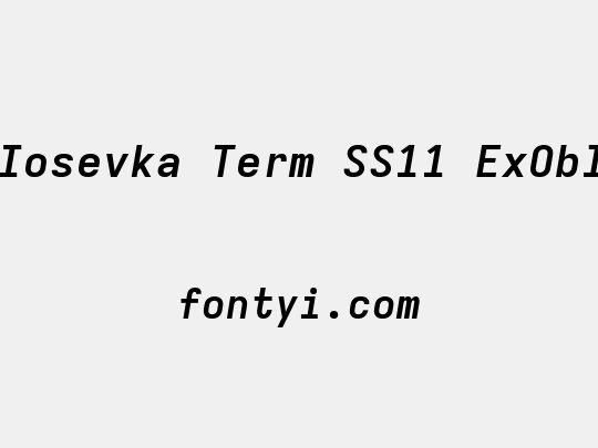 Iosevka Term SS11 ExObl