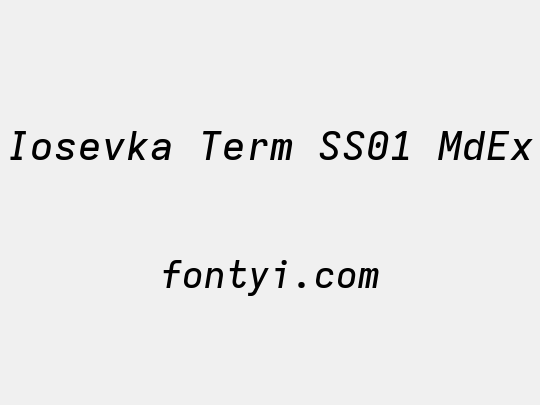Iosevka Term SS01 MdEx